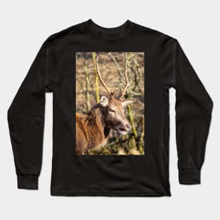 Red Deer of Glen Etive Long Sleeve T-Shirt